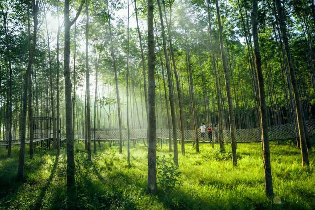 Buổi sáng trong lành tại khu nghỉ dưỡng Blue Diamond Retreat