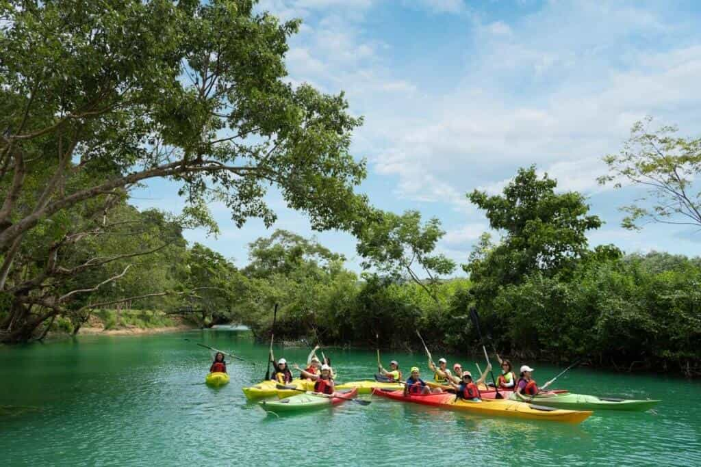 Chèo kayak trên dòng suối xanh mát