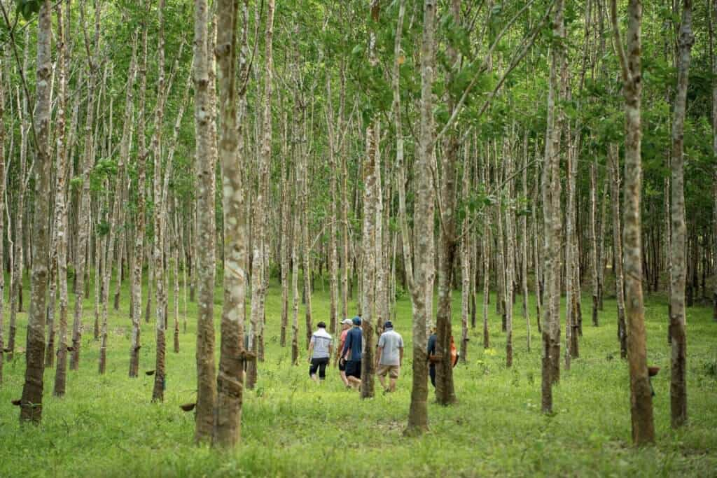 Du lịch sinh thái thường bao gồm các hoạt động ngoài trời.