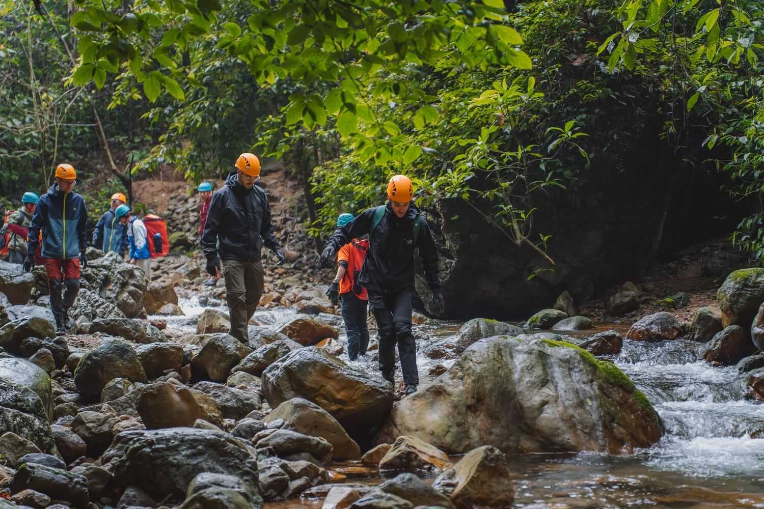Du khách tham gia tour Phong Nha: Khám phá hang Nước Nứt sẽ có thể trekking vào vườn thực vật, xem động vật quý hiếm và nhiều trải nghiệm độc đáo khác