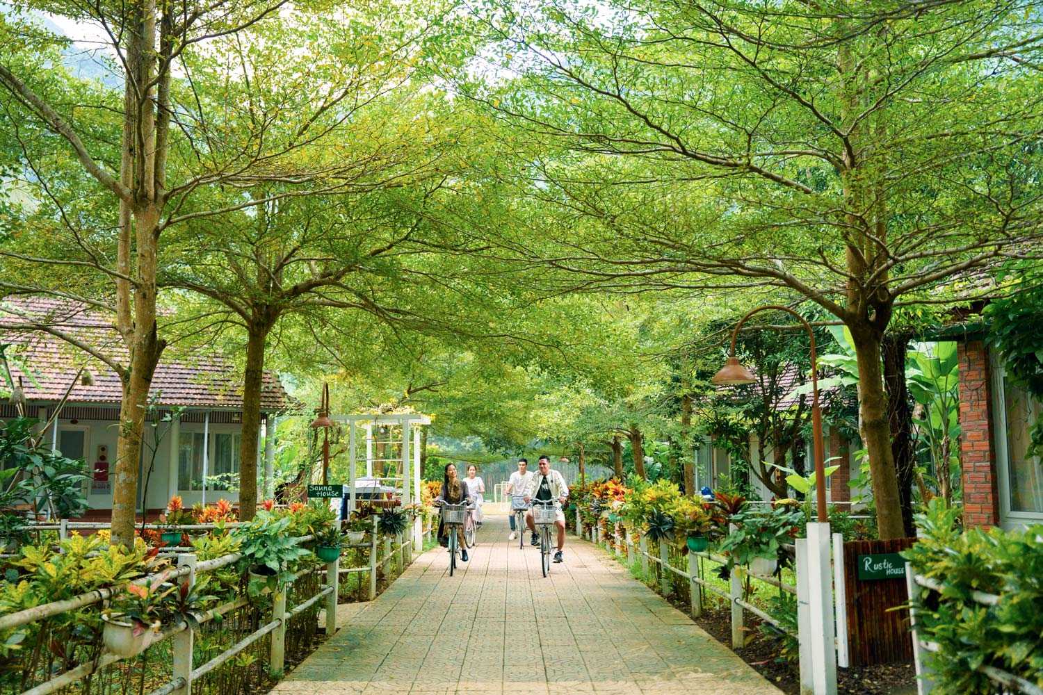 Chày Lập Farmstay có khuôn viên thơ mộng giữa làng quê yên bình và núi đá vôi hùng vĩ bao quanh