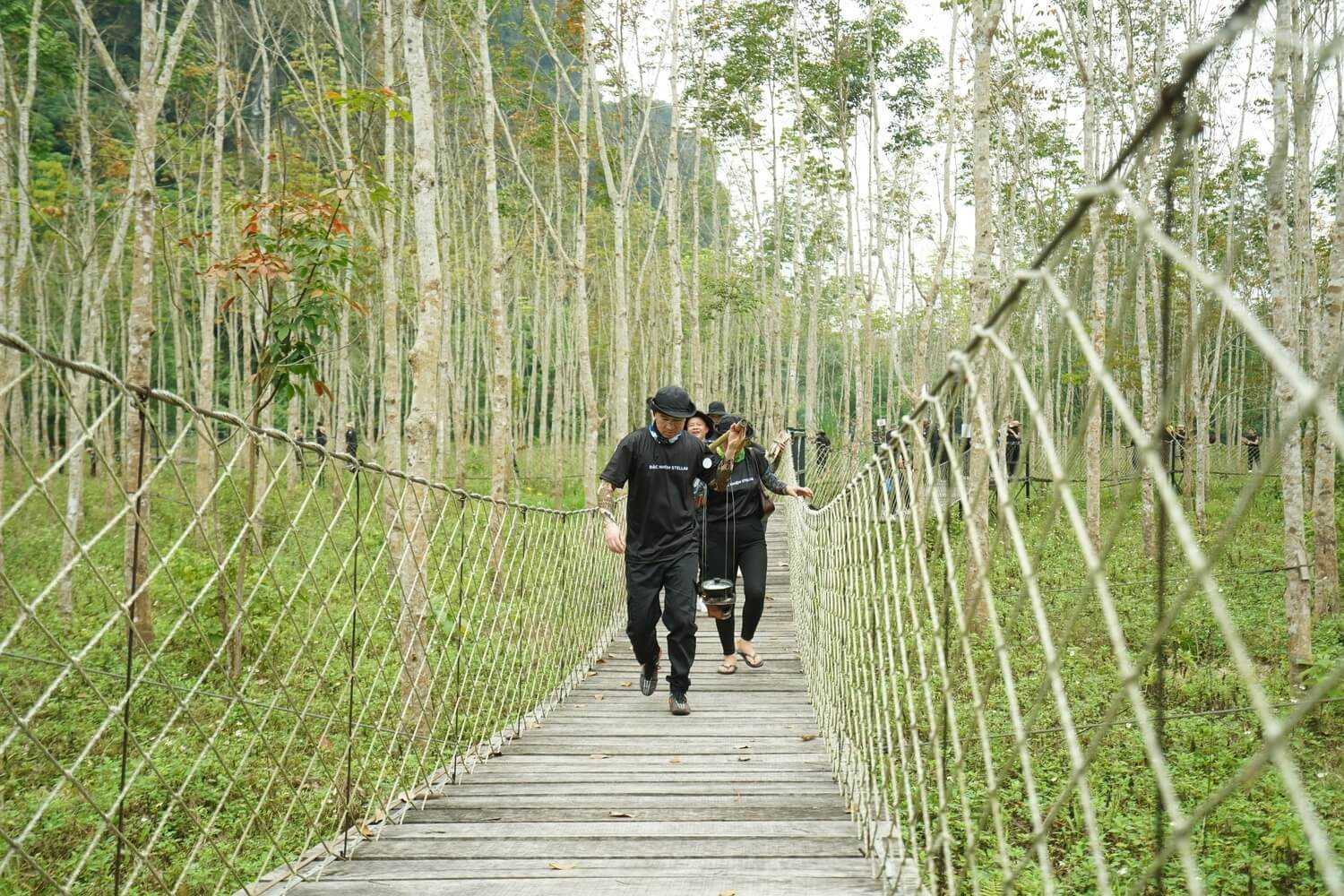 Blue Diamond Retreat có khuôn viên rừng cây rộng 5ha, rất lý tưởng cho các hoạt động team building ngoài trời cho nhóm, cắm trại, và nghỉ dưỡng