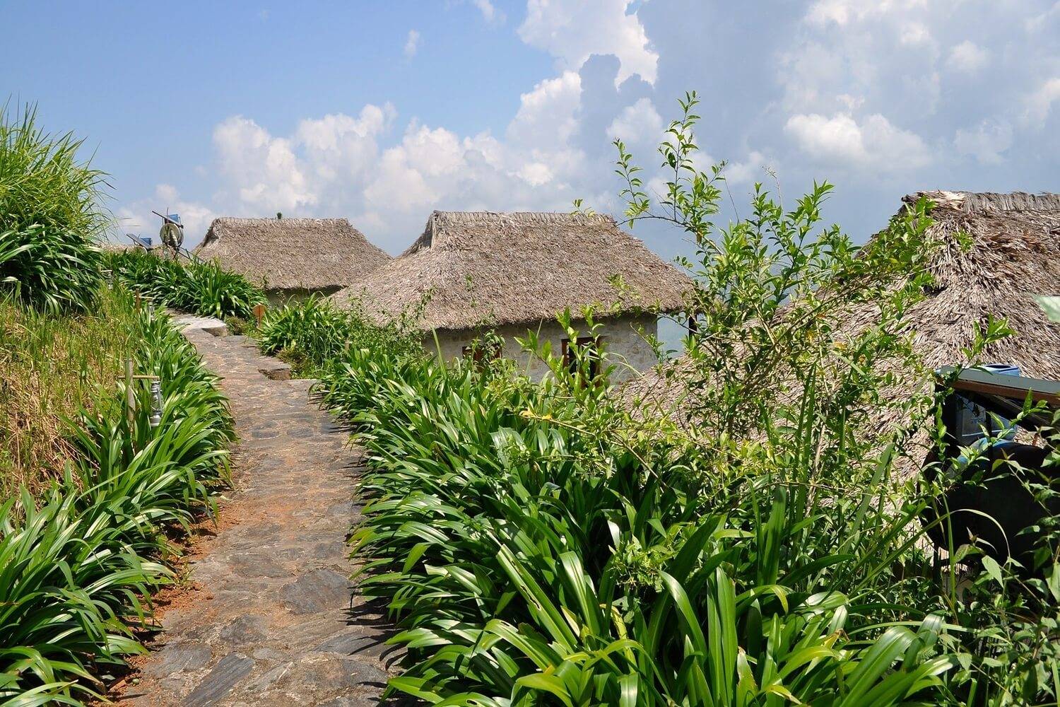 Topas Ecolodge Lào Cai có view bao quát núi rừng tây bắc hoang vu và cung cấp nhiều hoạt động du lịch Wellness thú vị