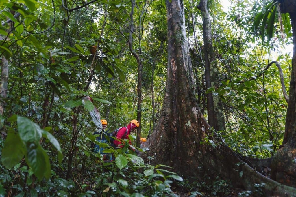 Vườn quốc gia Phong Nha - Kẻ Bàng được VQG Phong Nha Kẻ Bàng được UNESCO 2 lần công nhận là Di sản thiên nhiên thế giới