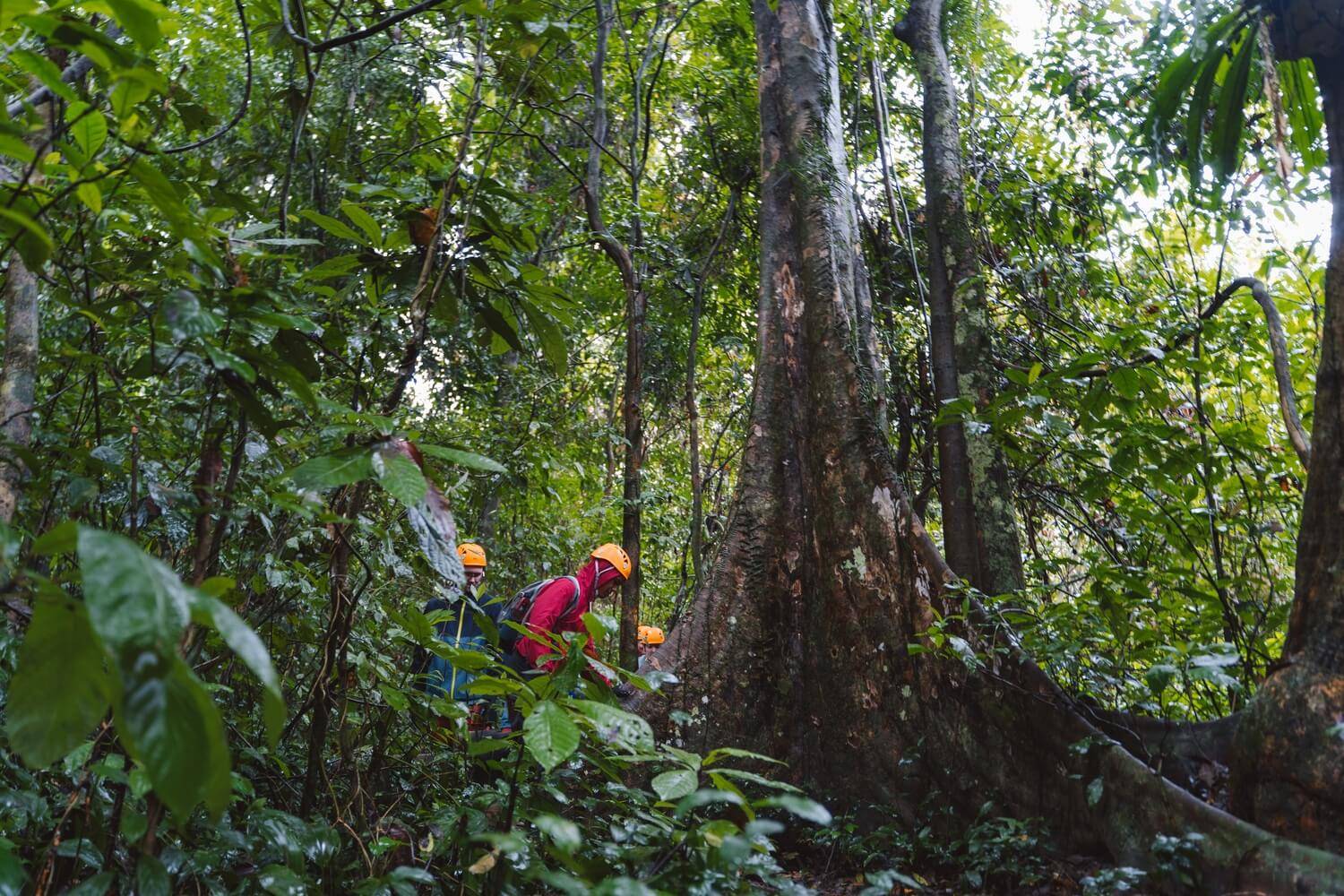 Vườn quốc gia Phong Nha - Kẻ Bàng được VQG Phong Nha Kẻ Bàng được UNESCO 2 lần công nhận là Di sản thiên nhiên thế giới