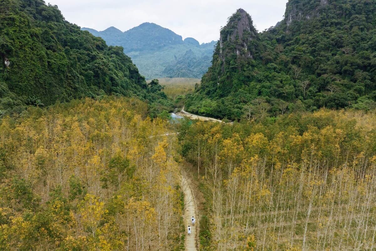 Travelers can cycle through the forest and fields surrounding the grounds of Blue Diamond Retreat