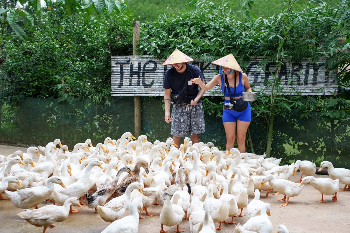 The Duck Stop Farm