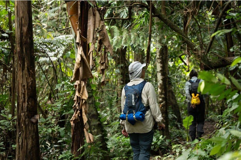 Choose a lightweight, supportive backpack to reduce back pain and move more easily
