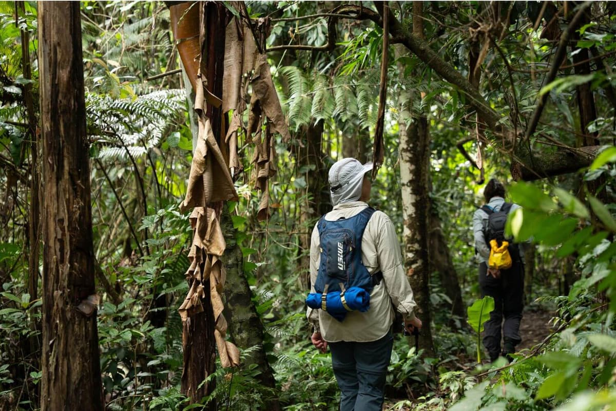 Choose a lightweight, supportive backpack to reduce back pain and move more easily