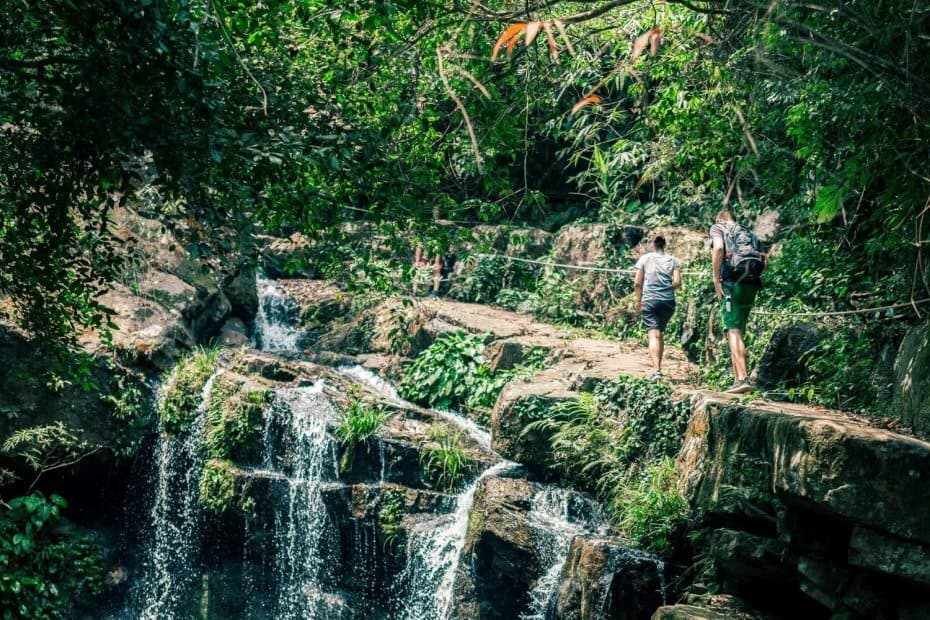 Phong Nha Botanical Garden features lush tropical forest landscapes and a diverse ecosystem