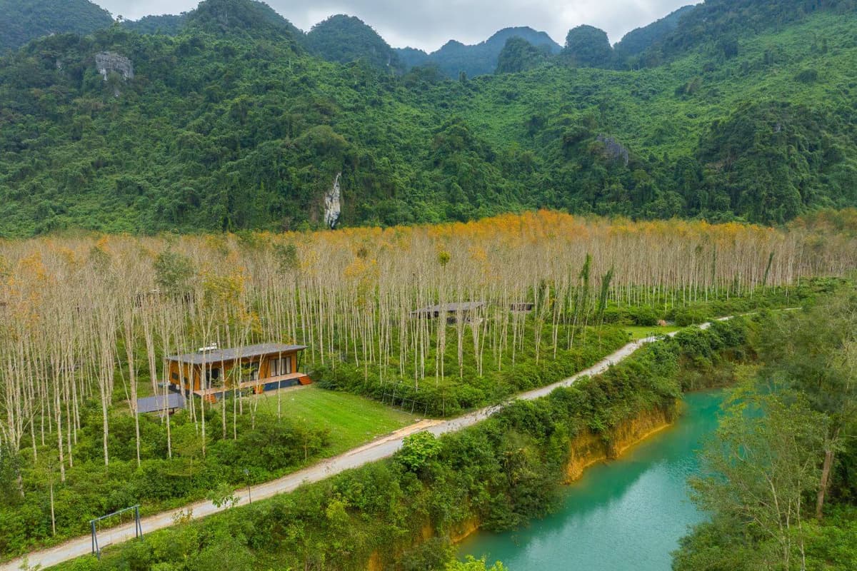 Sân cỏ tại Blue Diamond Retreat có rừng cây che bóng mát và địa hình rừng, suối có thể tổ chức các trò chơi đa dạng