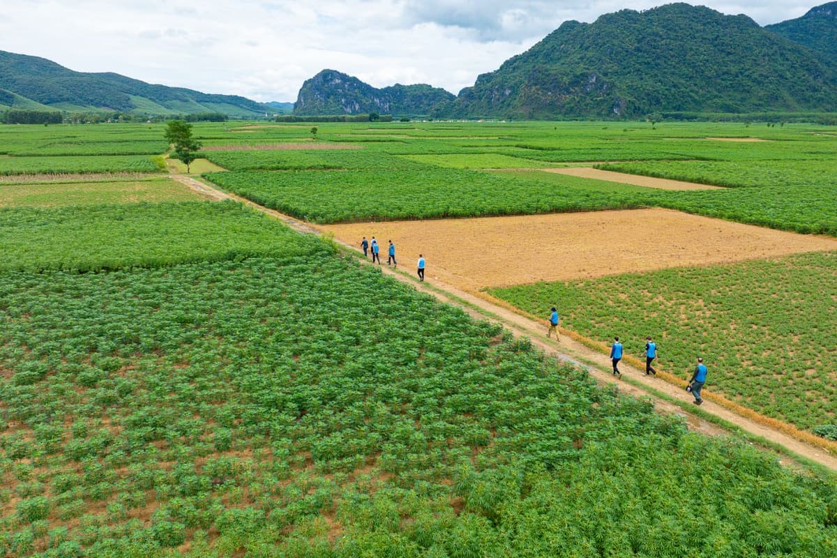 Toàn cảnh cánh đồng Khe Gát ở Blue Diamond Rretreat