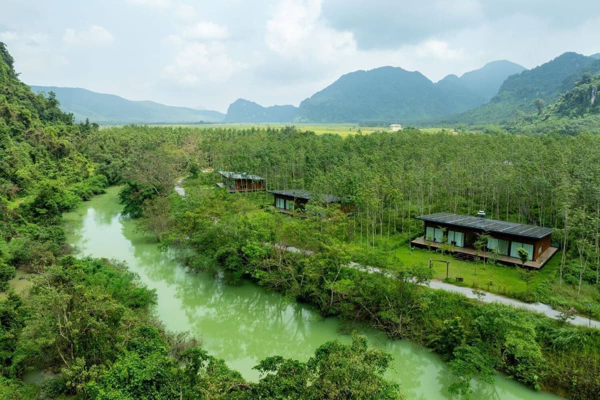 The forest is more than just a landscape, serving as a space for exploration and immersive experiences
