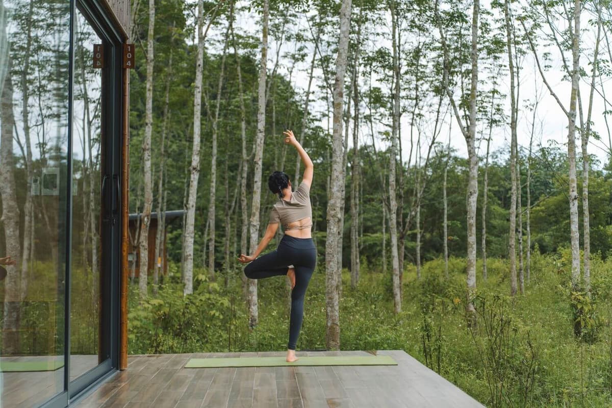 Travellers can enjoy the tranquillity of nature, practise yoga, and meditate among the trees